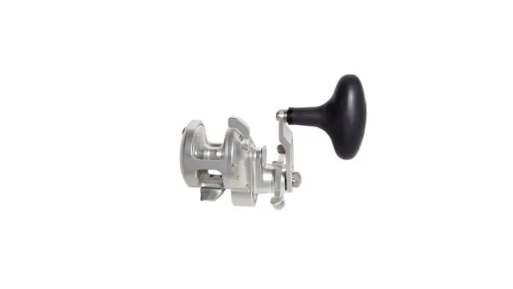 Accurate Tern 2 Star Drag Conventional Reels