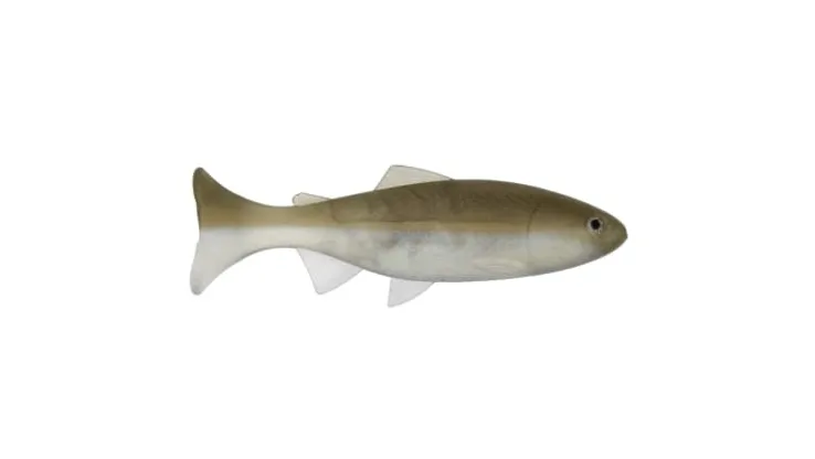 Anglers King Sugar Shaker Trout