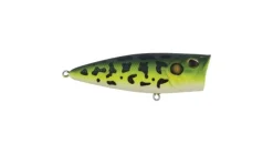 Berkley Bullet Pop