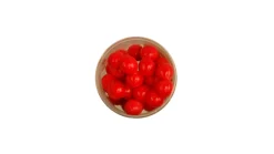 Berkley Powerbait Eggs Floating Magnum