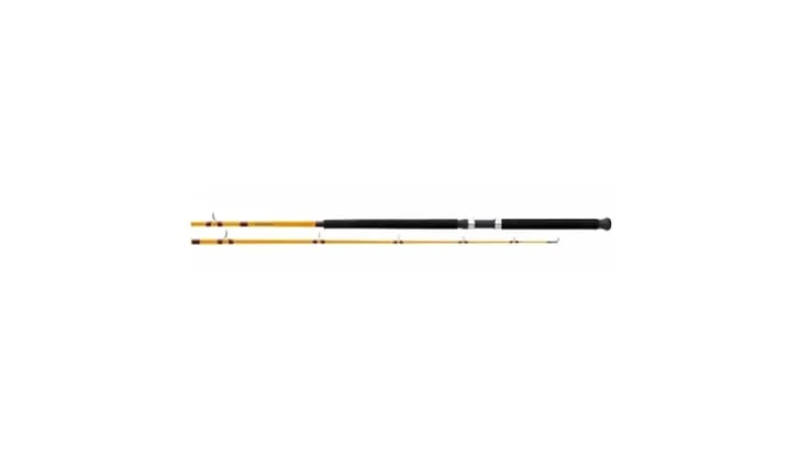 Daiwa FT Boat Rod