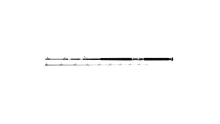 Daiwa Proteus EX Casting Rods