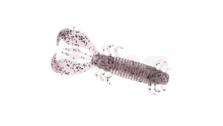 Deps MS Craw