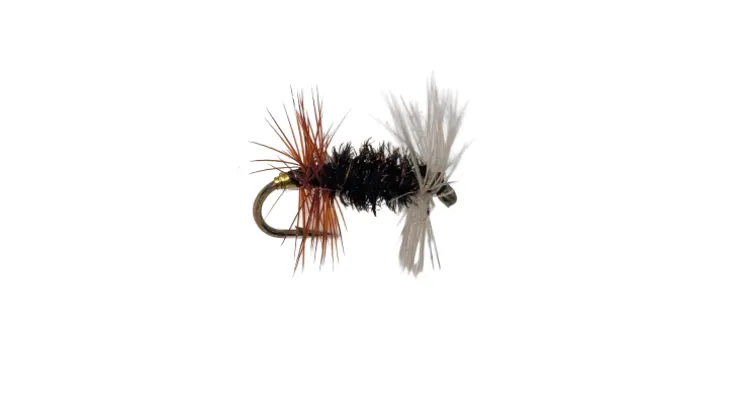 Dry Creek Fly Dry Fly