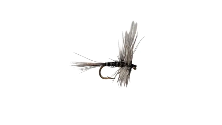 Dry Creek Fly Dry Fly