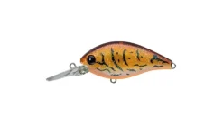 Evergreen CR-8 Crankbaits