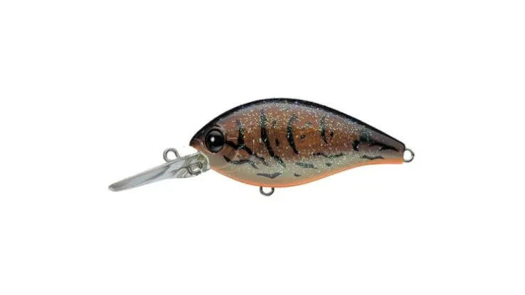 Evergreen CR-8 Crankbaits