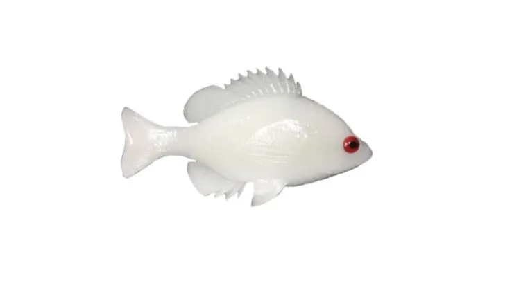 Huddleston Deluxe Bluegill