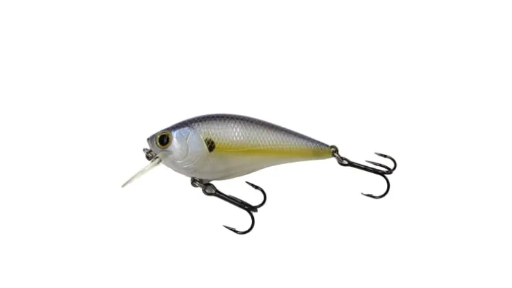 Lucky Craft Fat CB BDS Magic 2.2