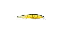 Megabass Kanata