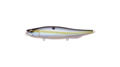 Megabass Megadog