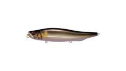 Megabass Megadog