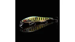 Megabass Vision Oneten Jr.