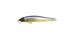 Megabass X-70 (BFS)