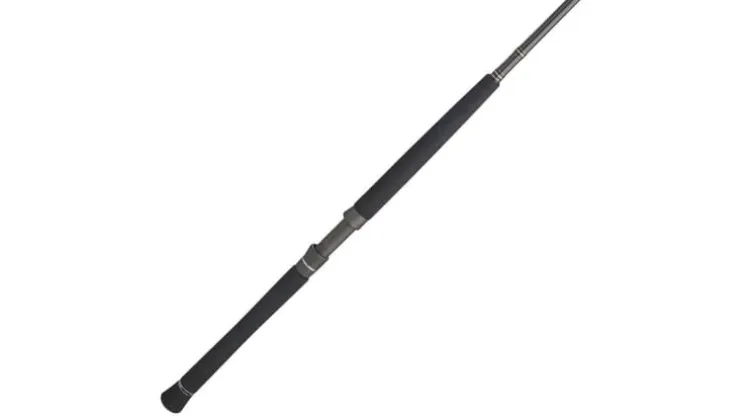 PENN Carnage III Boat Rods