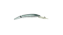 P-Line Predator Deep Diving