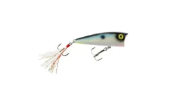 Rebel Pop R P71