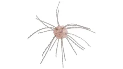 Strike King Tumbleweed Floating