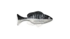 Sudden Impact Sunfish / Perch
