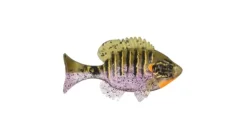 Sudden Impact Suzygill Bluegill