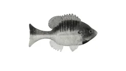 Sudden Impact Suzygill Bluegill
