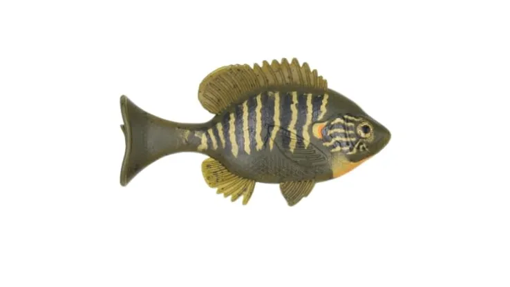 Sudden Impact Suzygill Bluegill Lil Gill