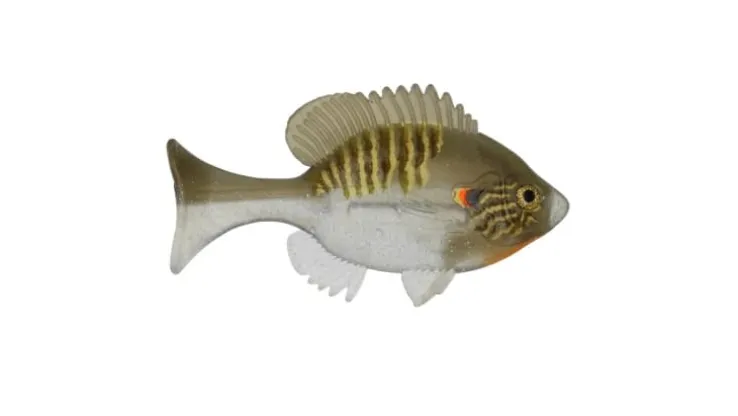 Sudden Impact Suzygill Bluegill Lil Gill