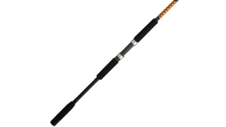 Ugly Stik Bigwater Spinning Rod