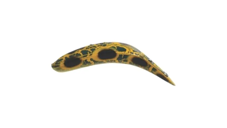 Worden's Flatfish T50